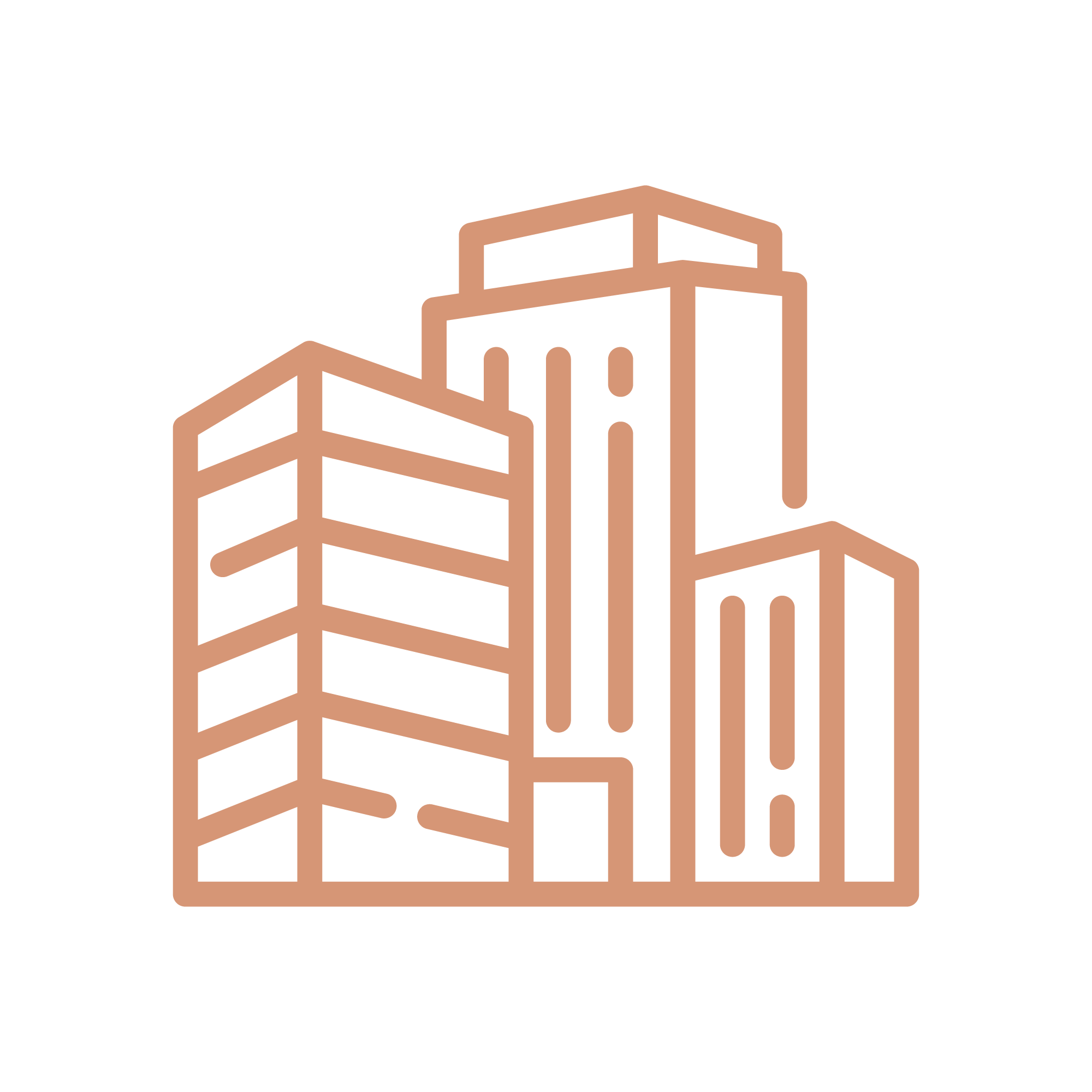 Company and Business Advisory
